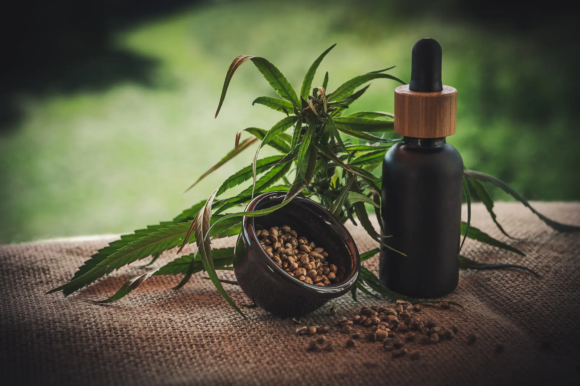 a branch of hemp and tincture, illustrating CBD safety